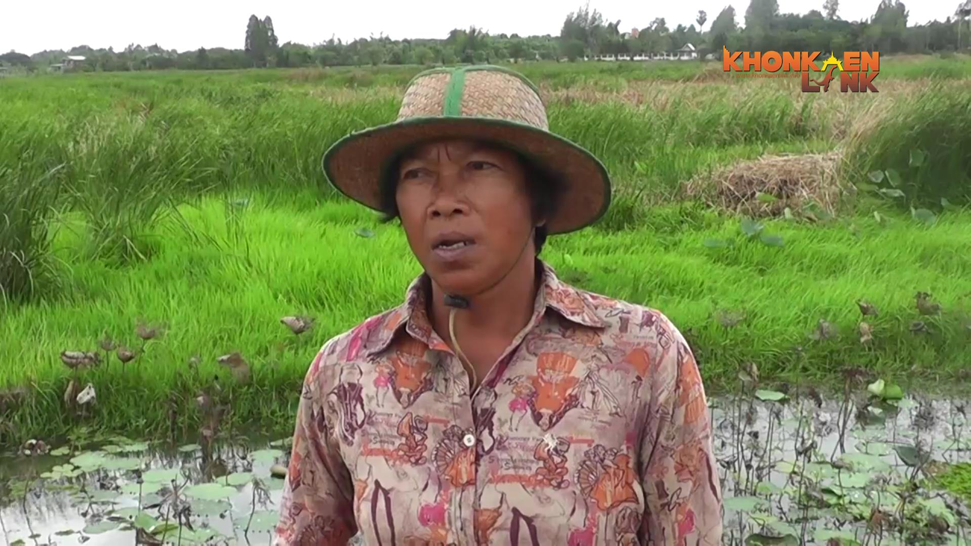 �ҧ����ѵ��  ǧ����ըѹ���