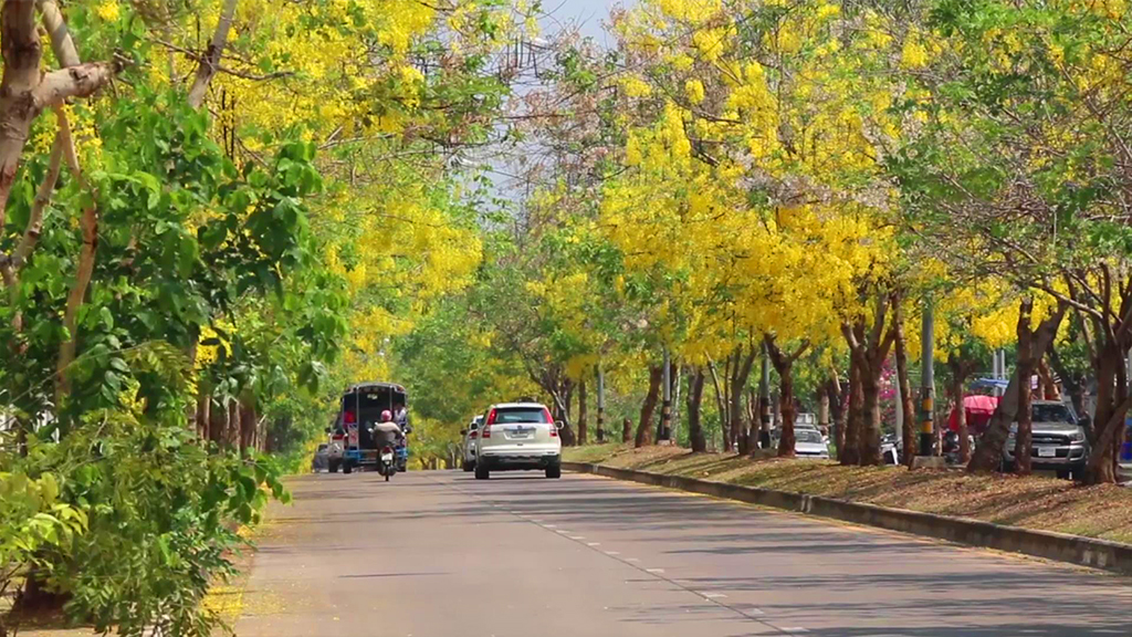 �͡�ٹ�����Ż�ġ��