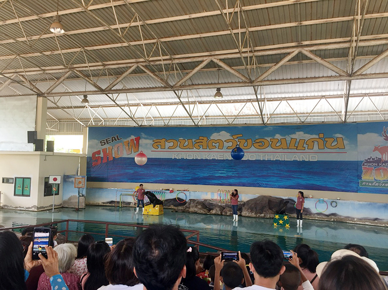 �ͺ����ʴ� �ͧ 