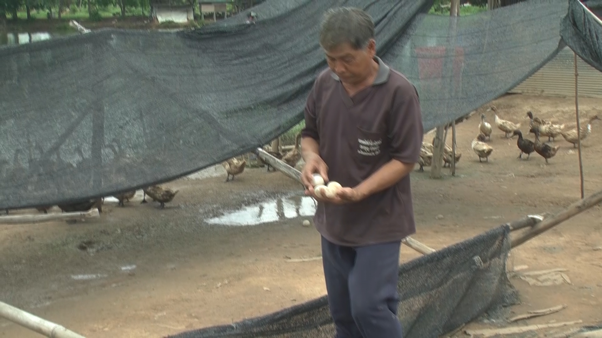 ��¹��� �ʹ�� �ɵáü������§�������