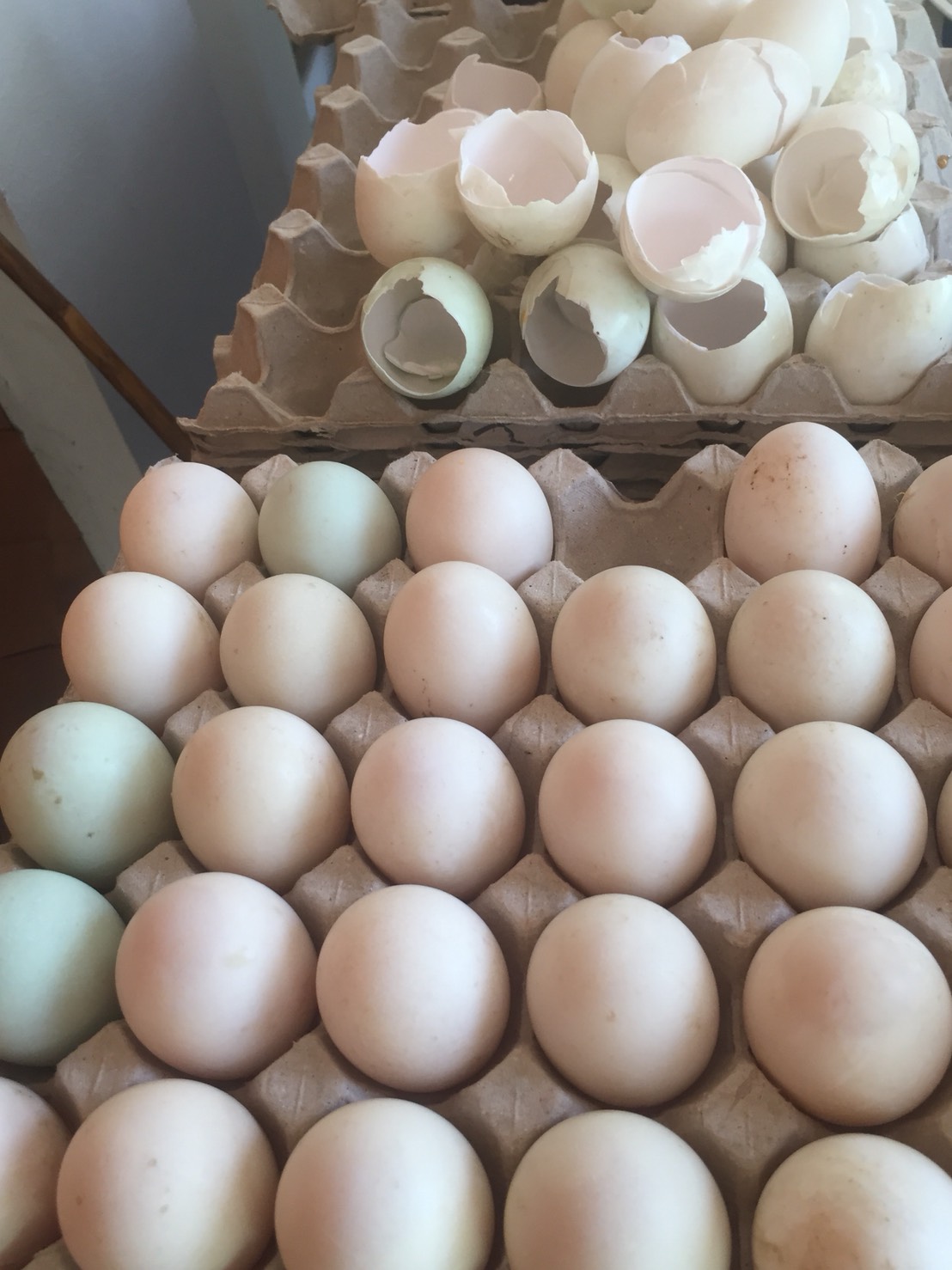 ����ʴ�ҡ������س��ԭ-����͹�Ӿͧ ?���Ӥ�ҧ? ��� ���Ƿ���ҧ��������͡ ��ѧ�ҡ���͡����й���ᴧ�͡���� 