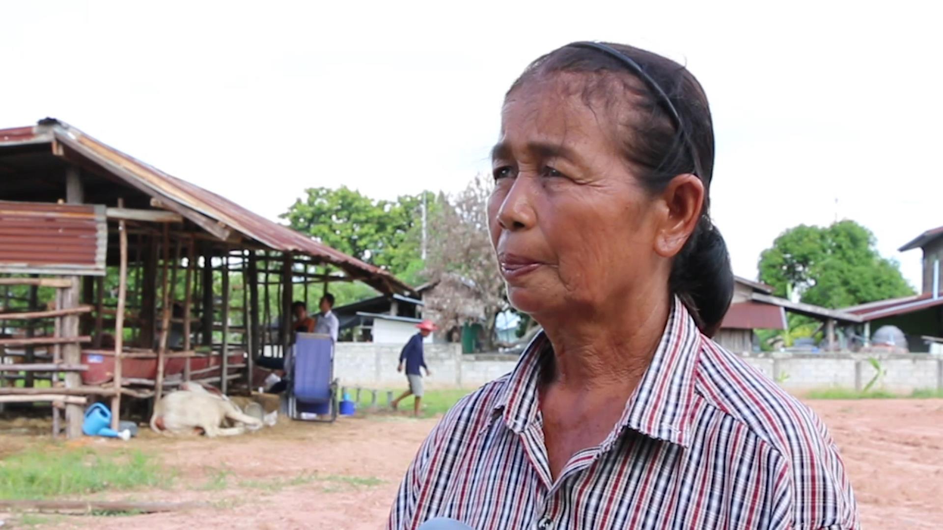 �ҧ�ͧ�  ����ҵ� ���� 67 �� 